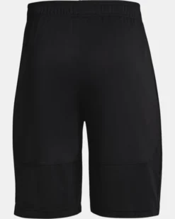 Men's UA Raid 2.0 Shorts 11 Men's UA Raid 2.0 Shorts -Sportswear Store PS1361511 001 HB