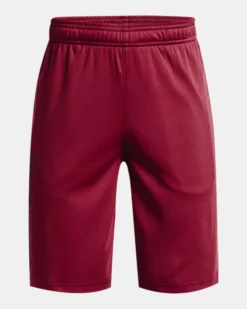 Boys' UA Prototype 2.0 Wordmark Shorts
