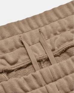 Women's UA Terry Shorts -Sportswear Store V5 1378652 236 LDWB SL