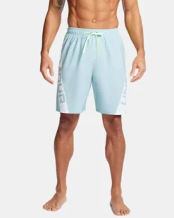 Men's UA Point Breeze Logo Swim Volley Shorts